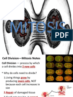 LAS 36 Mitosis