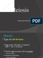 LAS 37 Meiosis