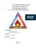 Combustion y Combustibles Termo