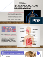 Tema: Sistema Neumologico O Respiratorio