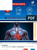 Anatomía del sistema circulatorio: corazón y vasos sanguíneos