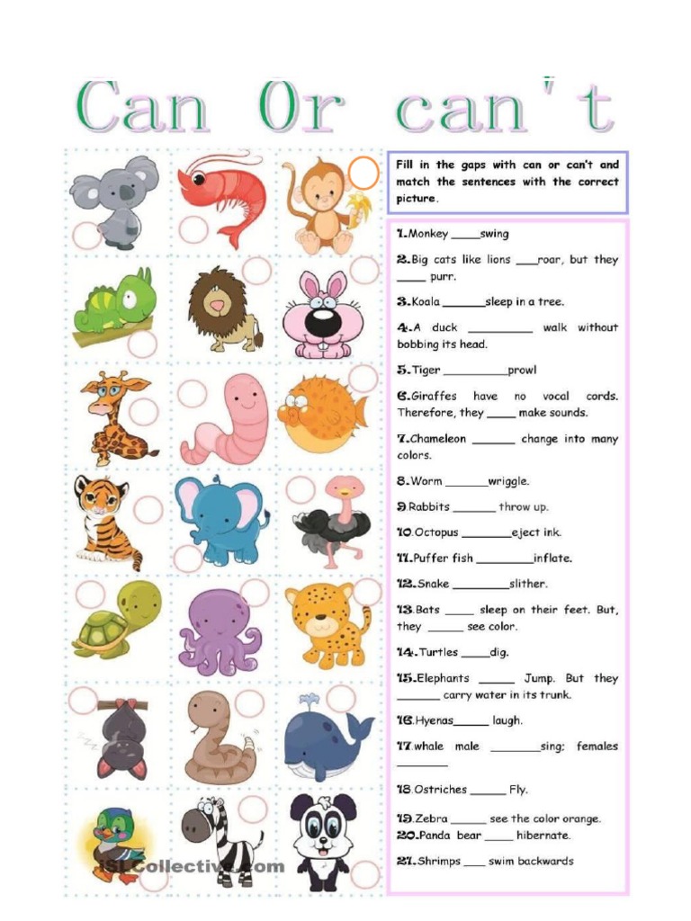 5.animal Abilities PDF