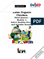 Raise Organic Chicken: Third Quarter - Select Healthy Stocks and Suitable Housing
