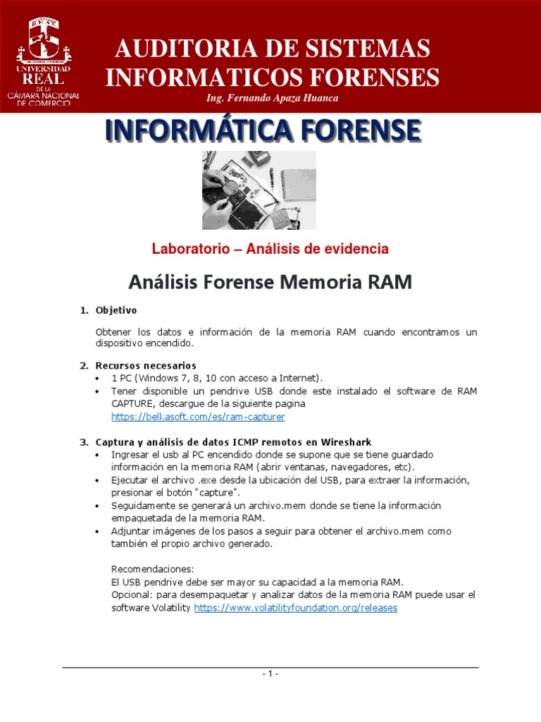 Analisis Forense Memoria RAM | PDF