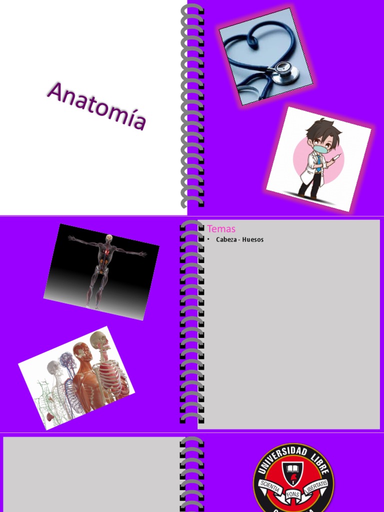 Libreta Anatomía | PDF