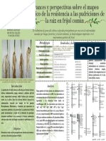 Póster Investigación Universitaria Horizontal Beige y Blanco Contemporáneo Editorial