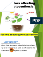 2.1. Factors Affecting Photosynthesis
