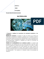 Profundización Microbiología Grupo 4 - Final PDF