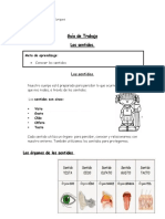 Guía de Trabajo Ciencias Naturales 1