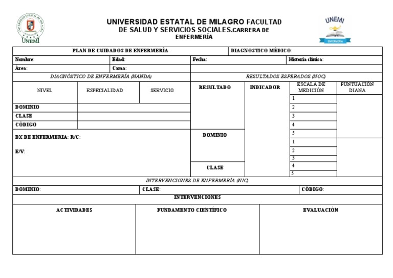 Formato Pae | PDF