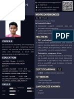 Double Page Resume PDF
