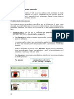 Química, Mesclas, Compuestos y Elementos