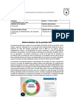 Antecedentes de La Producción PDF