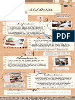 Infografía de Proceso Proyecto Collage Papel Marrón 