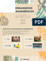 Alimentos Transgenicos