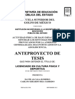 Anteproyecto Tesis Capitulo 1 100%