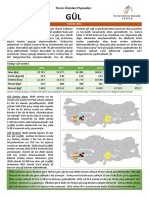 Gül, Haziran-2021, Tarım Ürünleri Piyasa Raporu, TEPGE