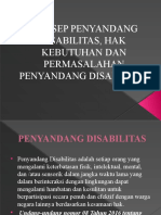 Konsep Penyandang Disabilitas, Hak Kebutuhan Dan Permasalahan