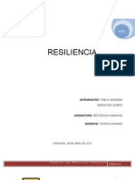 Informe de Resiliencia _I