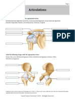 Articulations PDF