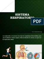 Tema 3 Respiración