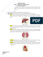 Rangkuman Materi Organ