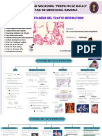 Mapa 16 Patologías Del Tracto Respiratorio