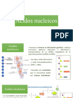 Ácidos Nucleicos 1ra Parte 2023-1