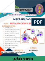 Mapa 2-Unidad II - INFLAMACIÓN CRÓNICA (Patología) - Grupo N 02