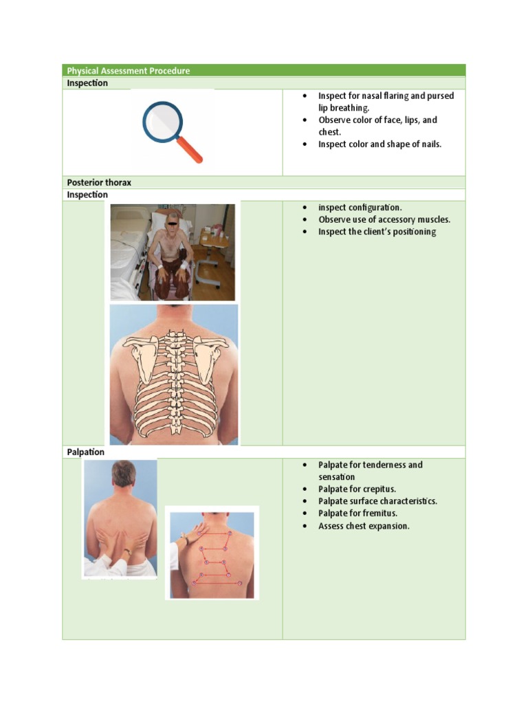 Inspection: Physical Assessment Procedure | PDF | Language Arts ...