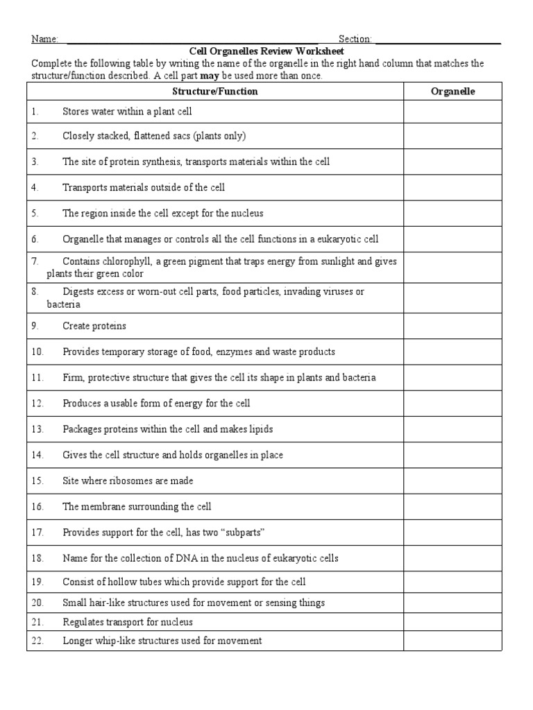 Cell Organelle Review Worksheet doc PDF Cell (Biology) Organelle