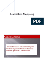 Association Mappaing