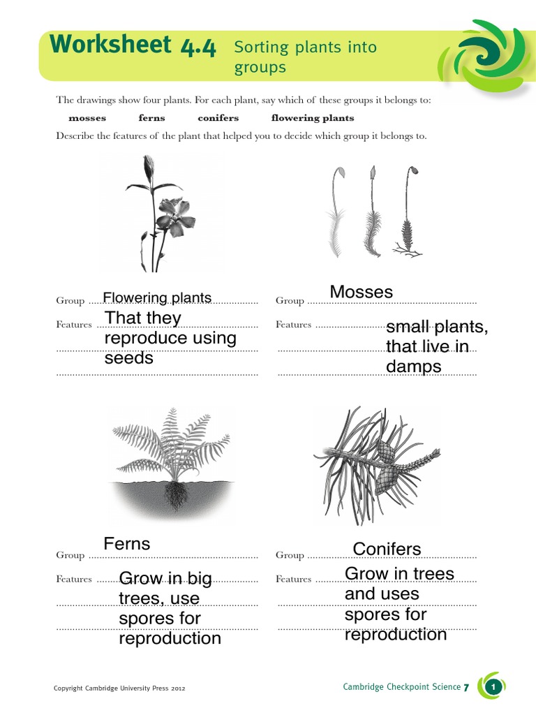 Editado - Worksheet - U4.4 PDF | PDF | Plants | Moss