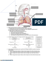 Sistem Pernapasan