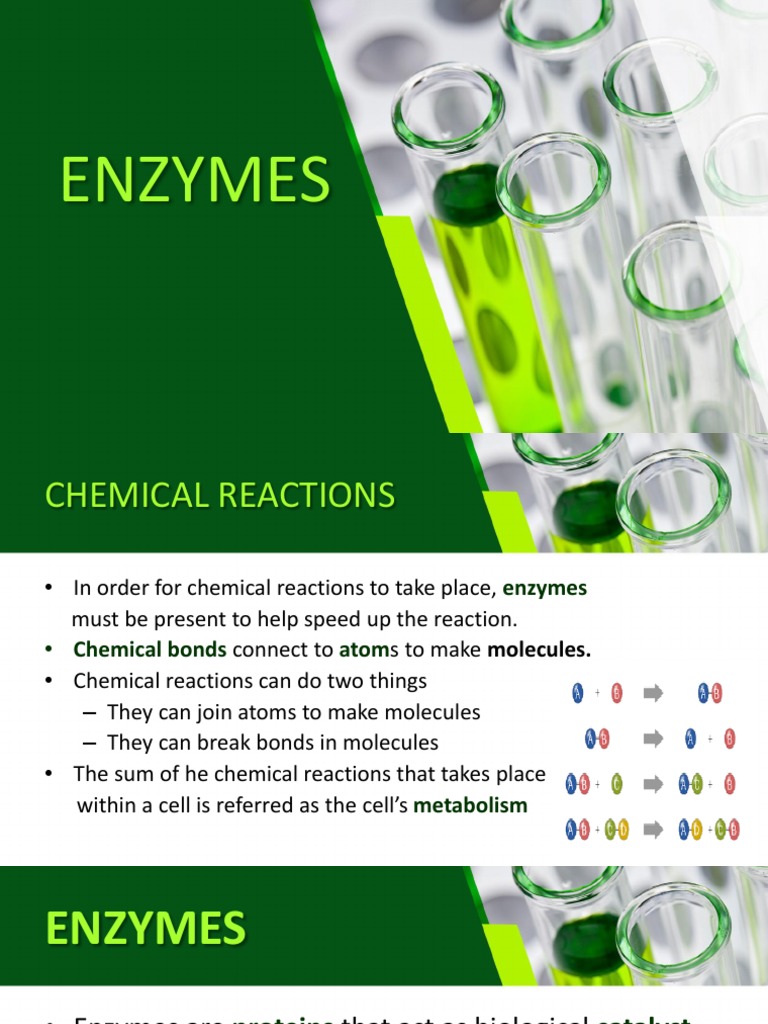 Biochemistry of Enzymes PDF Enzyme Enzyme Inhibitor