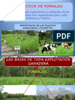 IMPORT PLANTAS FORRAJERAS Tema 3 PDF