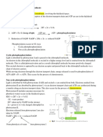 Light Dependent Reactions 2