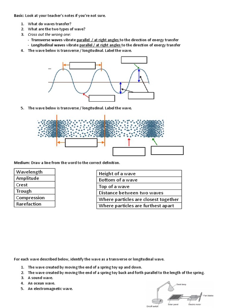 Transverse and Longitudinal Waves Worksheet | PDF | Science & Mathematics
