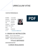 Curriculum Vitae 1