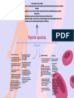 Digestio Aparatua: 2 Elementu