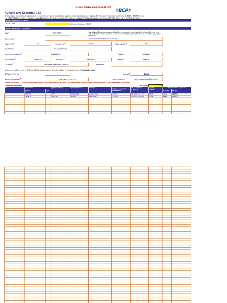 Plantilla Deposito CTS - 2020 - 05 | PDF | Informática