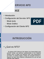 Presentacion NFS
