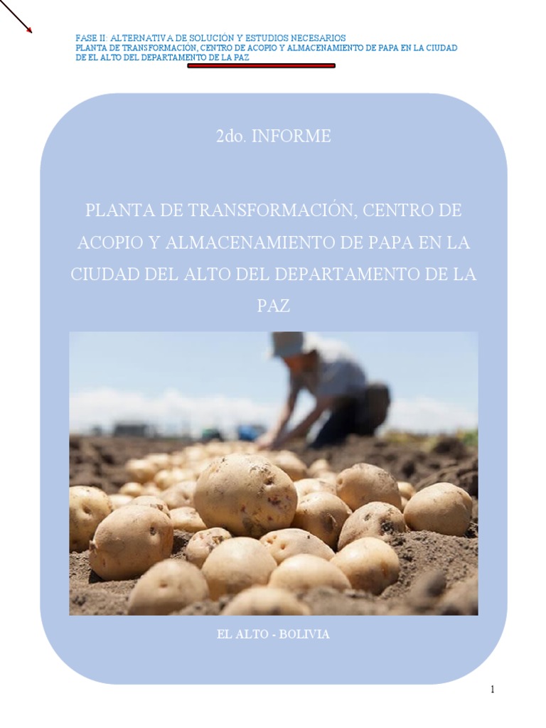 Cortadora de Patatas Fritas - hasta 1.500 kg/h Producción - Varios Tamaños  de Patatas Fritas - Eléctrico - Maxima
