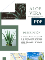 Aloe Vera