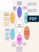 Acidos Nucleicos - Mapa Mental
