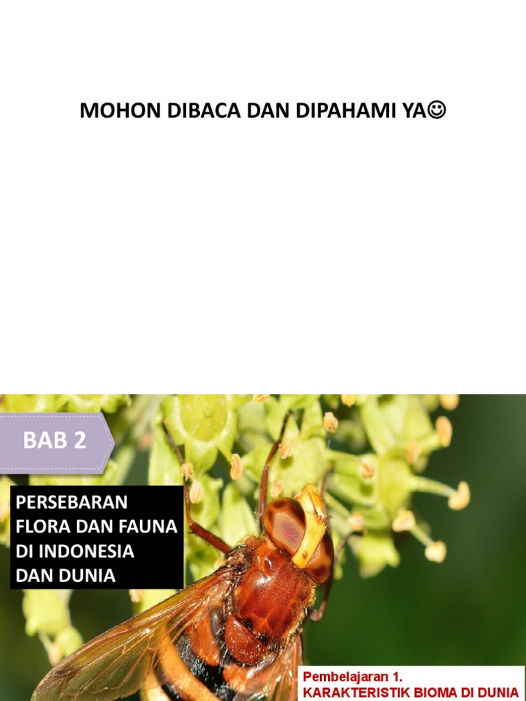 Mohon Dibaca Dan Dipahami Ya | PDF | Sains & Matematika
