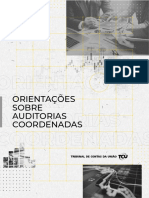 Orientações Sobre Auditorias Coordenadas