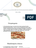 Lepra: Etiopatogenia, Manifestações Clínicas e Conclusão