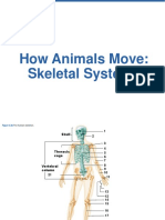 How Animals Move: Skeletal Systems