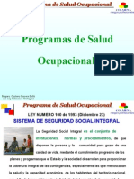 7483894 Programa de Salud Ocupacional Ponzio[1]
